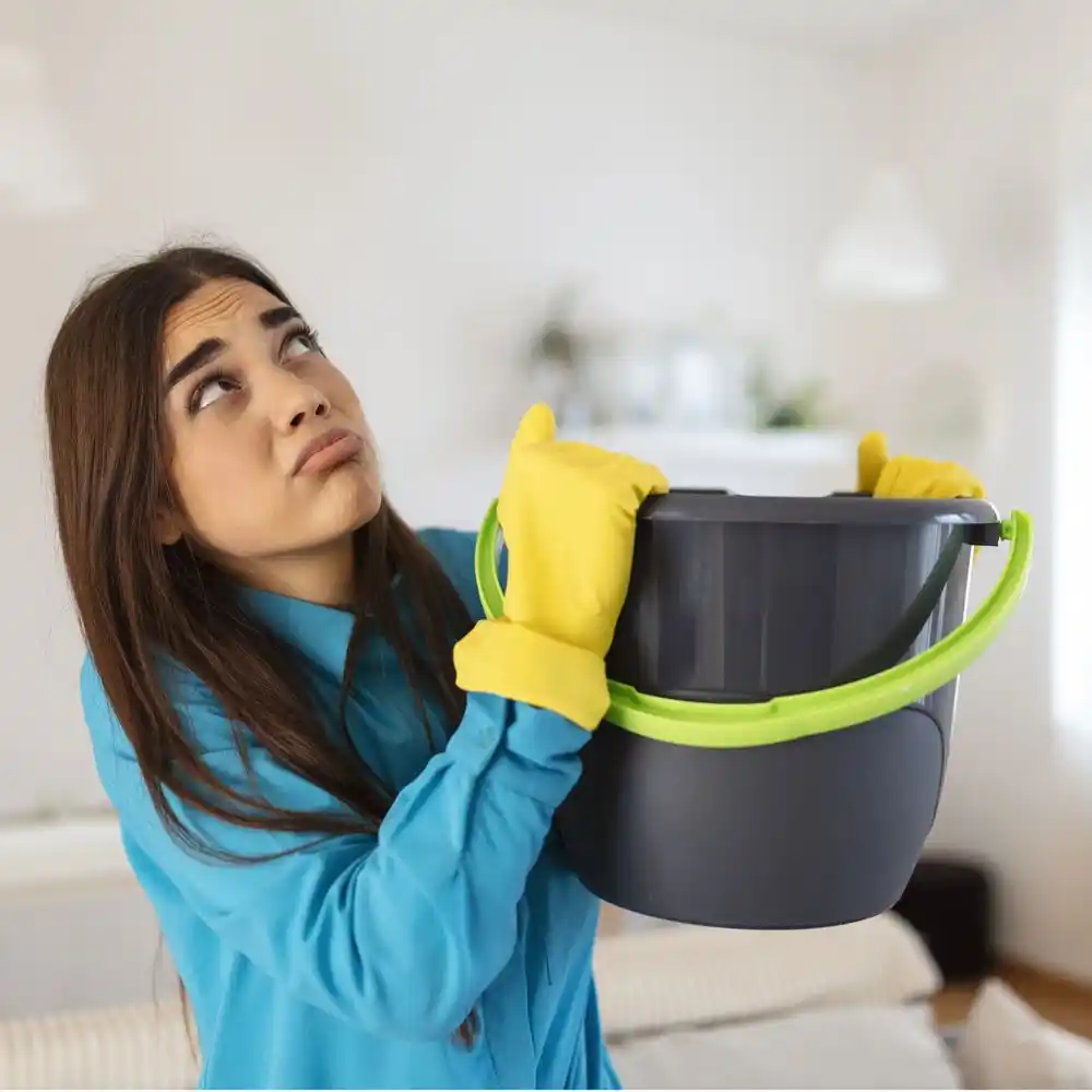 water damage restoration service Williamston